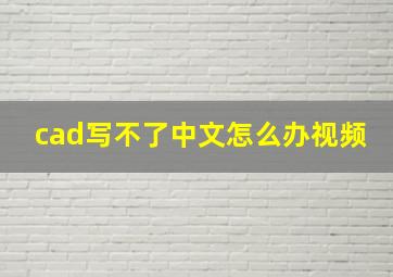 cad写不了中文怎么办视频