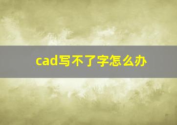 cad写不了字怎么办