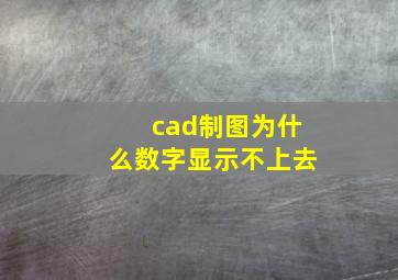 cad制图为什么数字显示不上去