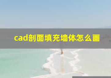 cad剖面填充墙体怎么画