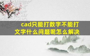 cad只能打数字不能打文字什么问题呢怎么解决