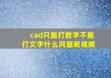 cad只能打数字不能打文字什么问题呢视频