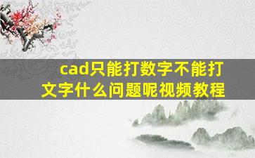 cad只能打数字不能打文字什么问题呢视频教程