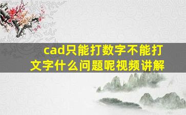 cad只能打数字不能打文字什么问题呢视频讲解