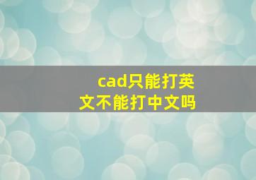 cad只能打英文不能打中文吗