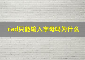 cad只能输入字母吗为什么