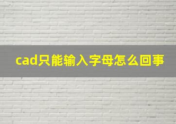 cad只能输入字母怎么回事