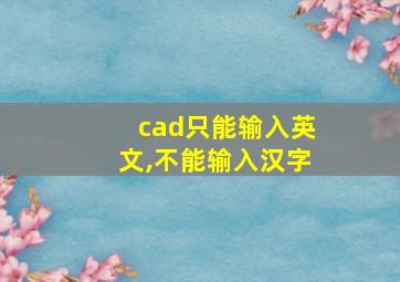 cad只能输入英文,不能输入汉字