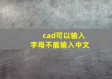 cad可以输入字母不能输入中文