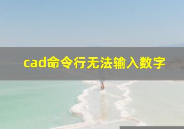 cad命令行无法输入数字