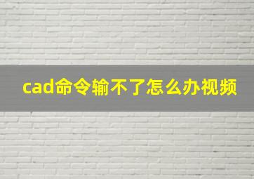 cad命令输不了怎么办视频