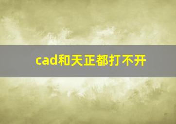 cad和天正都打不开