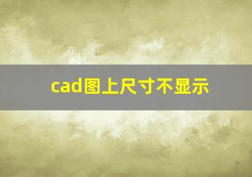 cad图上尺寸不显示