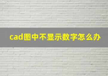 cad图中不显示数字怎么办