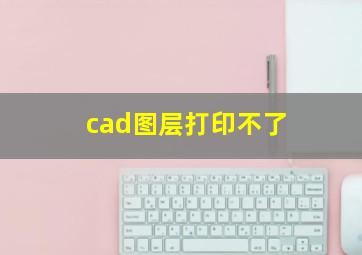 cad图层打印不了