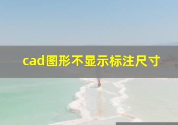 cad图形不显示标注尺寸