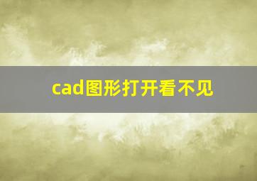 cad图形打开看不见