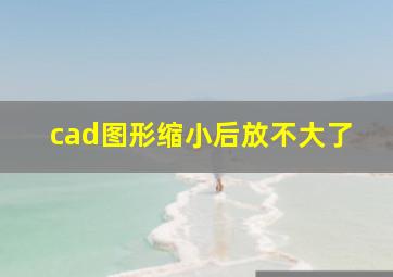 cad图形缩小后放不大了