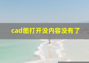 cad图打开没内容没有了