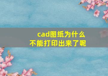 cad图纸为什么不能打印出来了呢