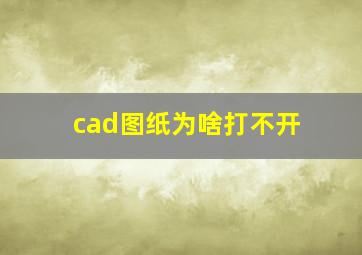 cad图纸为啥打不开