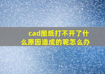 cad图纸打不开了什么原因造成的呢怎么办