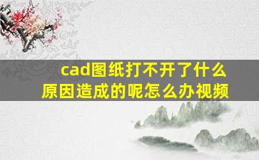 cad图纸打不开了什么原因造成的呢怎么办视频