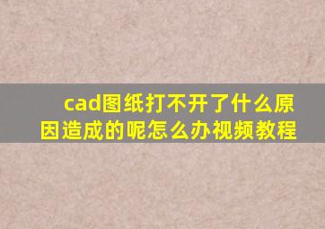 cad图纸打不开了什么原因造成的呢怎么办视频教程