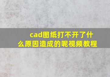 cad图纸打不开了什么原因造成的呢视频教程