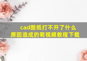 cad图纸打不开了什么原因造成的呢视频教程下载