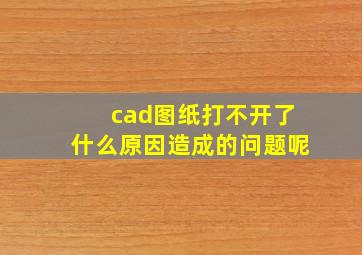 cad图纸打不开了什么原因造成的问题呢