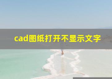 cad图纸打开不显示文字