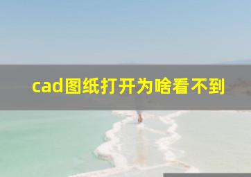 cad图纸打开为啥看不到