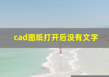 cad图纸打开后没有文字