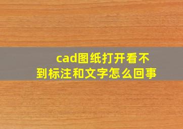 cad图纸打开看不到标注和文字怎么回事