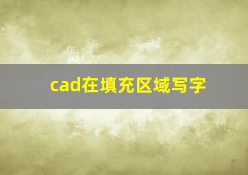 cad在填充区域写字