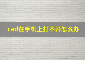 cad在手机上打不开怎么办