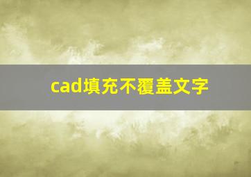 cad填充不覆盖文字