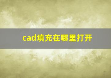 cad填充在哪里打开