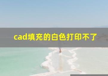 cad填充的白色打印不了