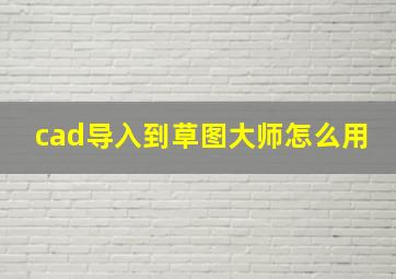 cad导入到草图大师怎么用