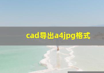 cad导出a4jpg格式