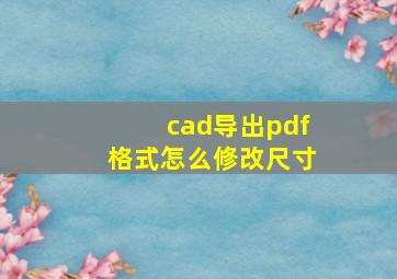 cad导出pdf格式怎么修改尺寸