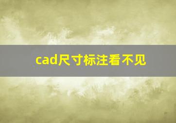 cad尺寸标注看不见