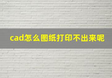 cad怎么图纸打印不出来呢