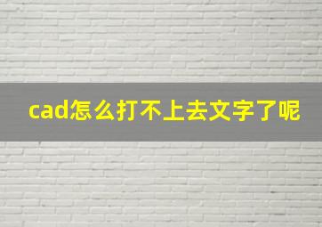 cad怎么打不上去文字了呢