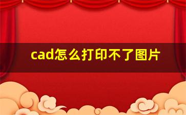 cad怎么打印不了图片