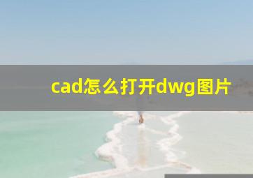 cad怎么打开dwg图片