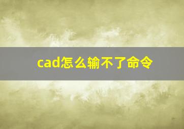 cad怎么输不了命令