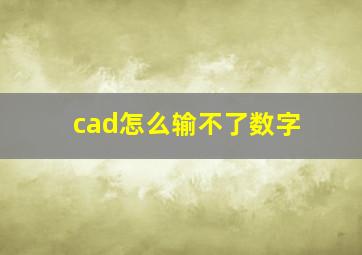 cad怎么输不了数字